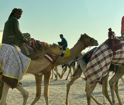 Al Shahaniya Racetrack-Ash-Shahaniyah必去景点