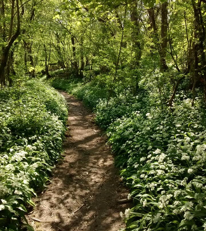 Wessex Wildways-沃敏斯特必去景点