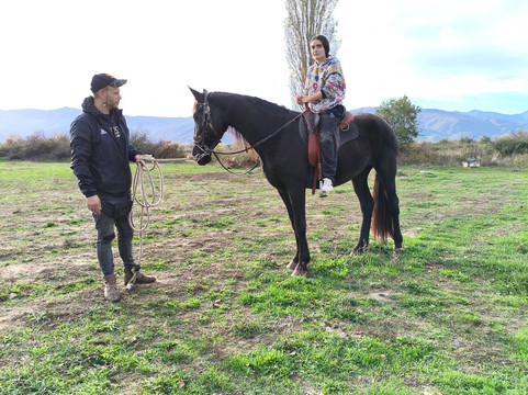 Friesian Land Horse Riding-Florina必去景点