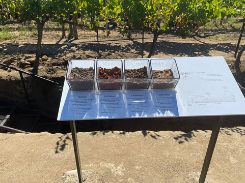 Casas del Bosque-卡萨布兰卡必去景点