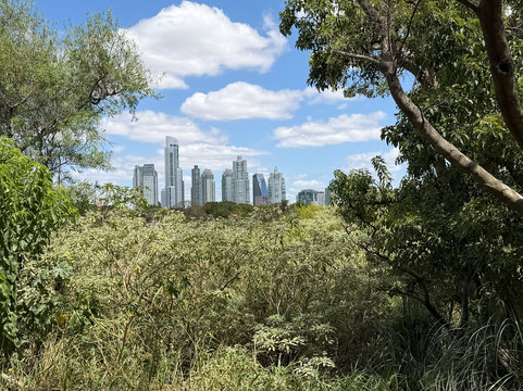 Reserva Ecológica Costanera Sur-布宜诺斯艾利斯必去景点