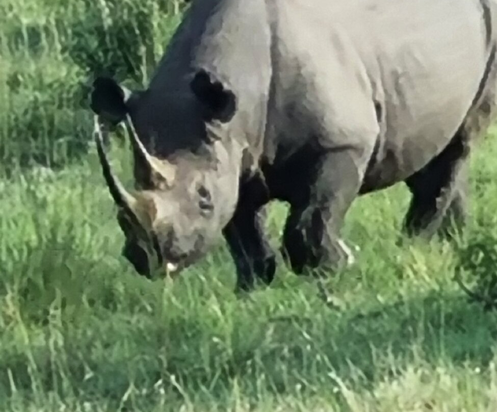 Extra Miles Unique Adventures-Sekenani必去景点