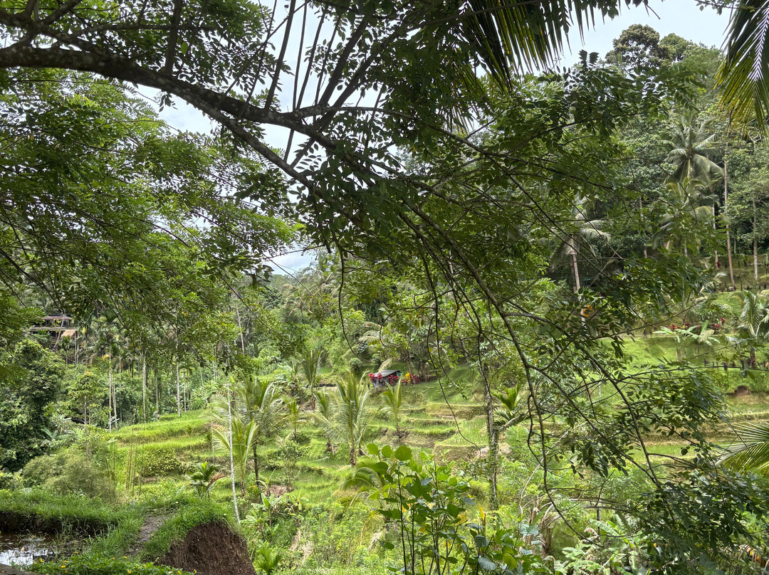 Manfred und Erna Individuelle Touren-沙努尔必去景点