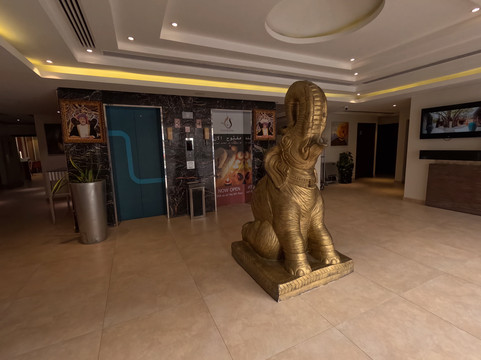 盛泰乐马斯喀特沙丘中心酒店主图