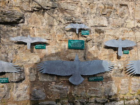 Deutsche Greifenwarte-Hassmersheim必去景点