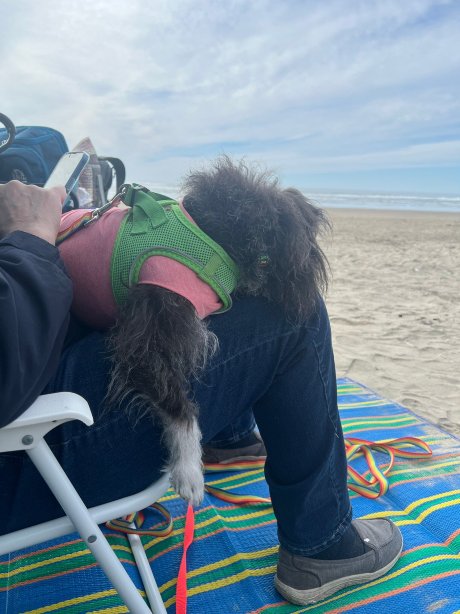 托尔瓦纳公寓式酒店-官方