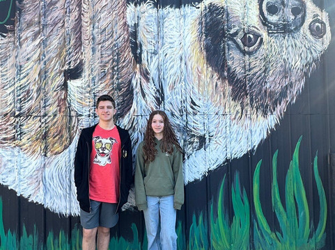 Nova Wild-维也纳必去景点