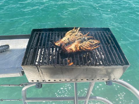 Crystal Cruiser-鹿岛必去景点