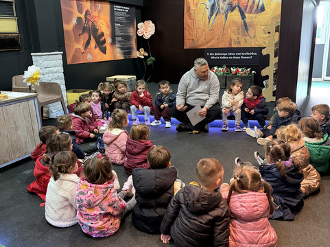 Bee Museum-诺帕克特斯必去景点