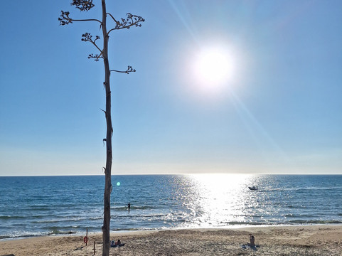 Cala Manbrù-Siculiana Marina必去景点