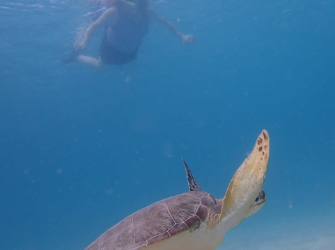 St.Thomas Adventures-圣 托马斯必去景点