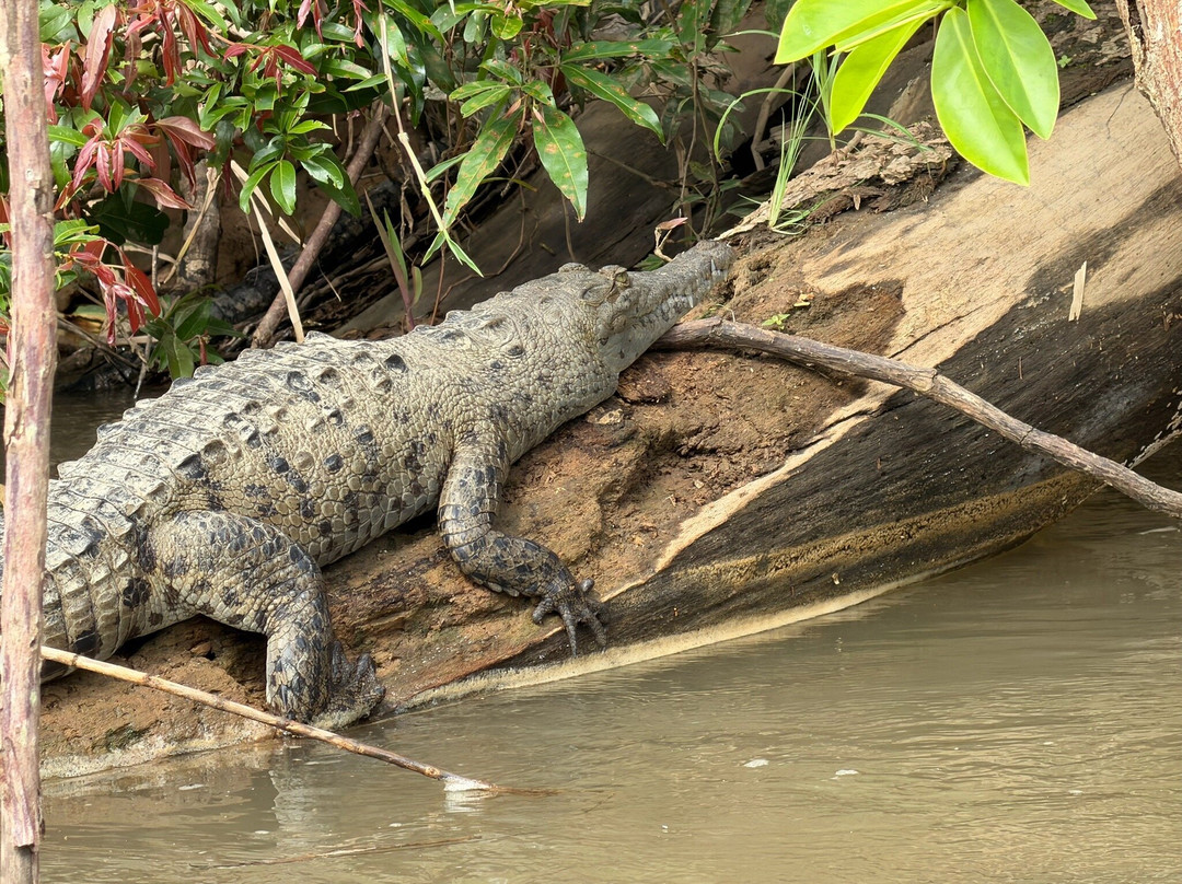 Bella Aventura Costa Rica-Santo Domingo de Heredia必去景点