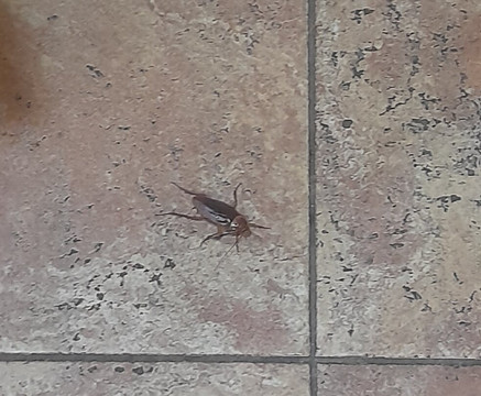 Jandia Golf Course-Morro del Jable必去景点