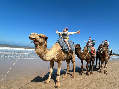 Essaouira Activités-索维拉必去景点