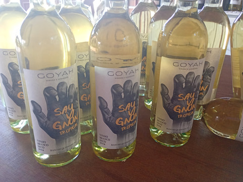 Goyah Vinhos E Vinhedos-Rancho Queimado必去景点