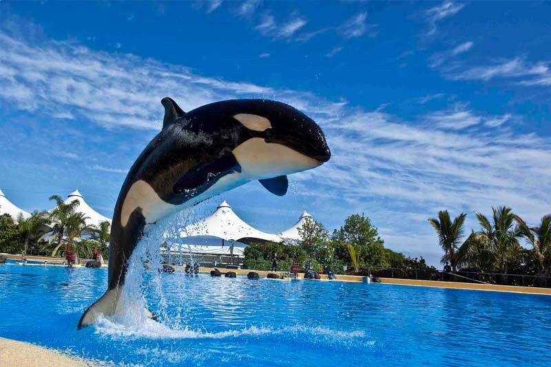 Espiritu De Buceo-圣地亚哥港必去景点