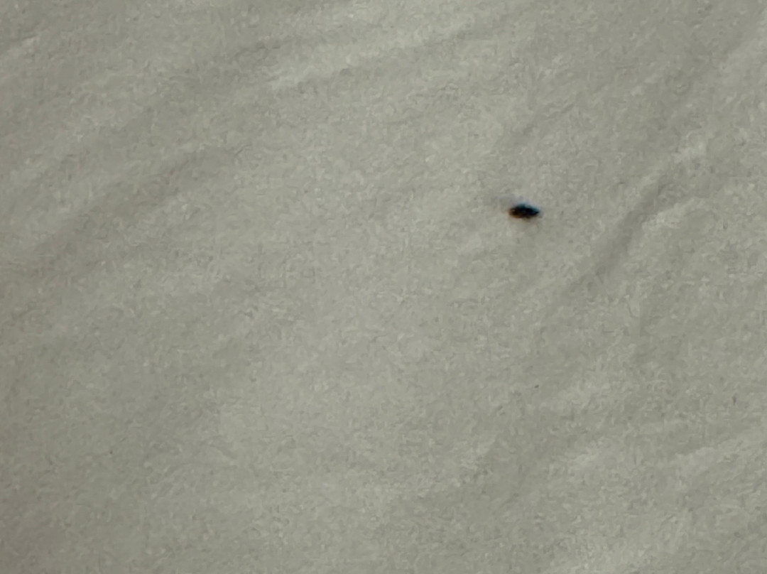 弗雷德里克斯堡玛丽华盛顿凯悦嘉轩酒店主图