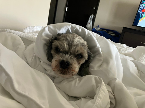 安哥拉蔚景温德姆酒店主图