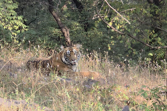 My Rajasthan Trip-斋蒲尔必去景点