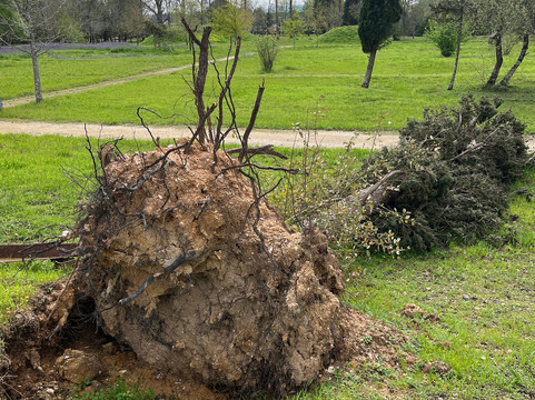 Parque Da Cidade-梅阿利亚达必去景点