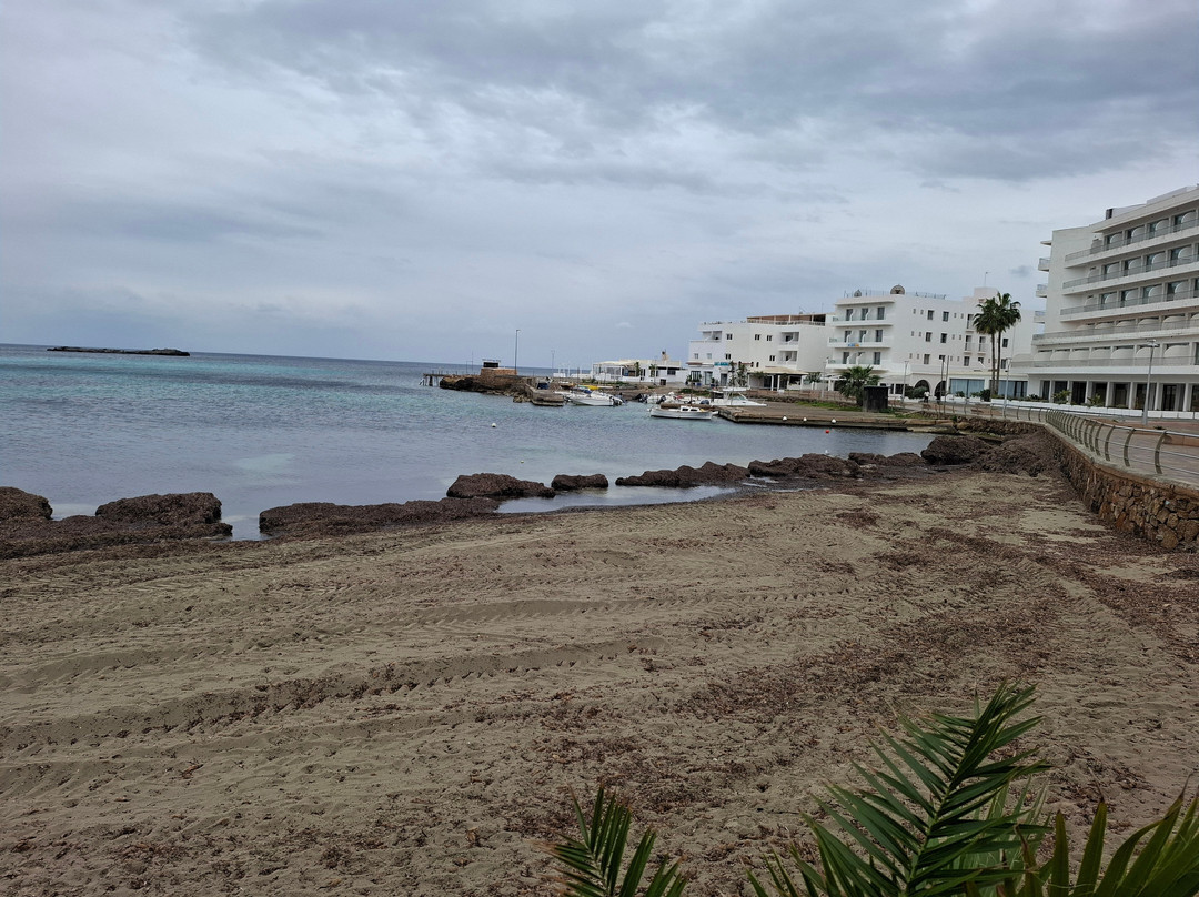 Playa de Es Canar-埃斯卡纳尔必去景点