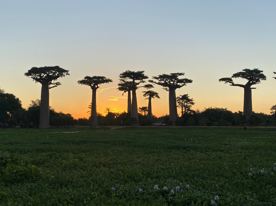 Tsiky Tour Madagascar-安塔那那利佛必去景点
