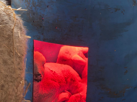 Lower Drayton Farm-Penkridge必去景点