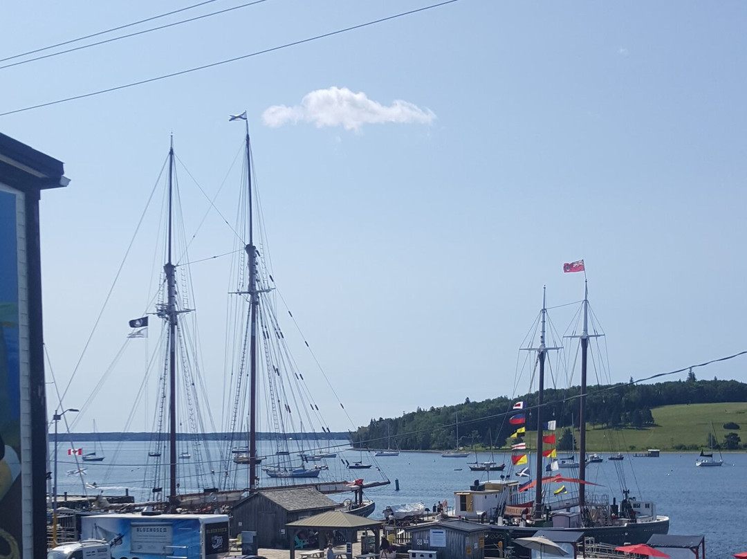 Fisheries Museum of the Atlantic-卢嫩堡必去景点