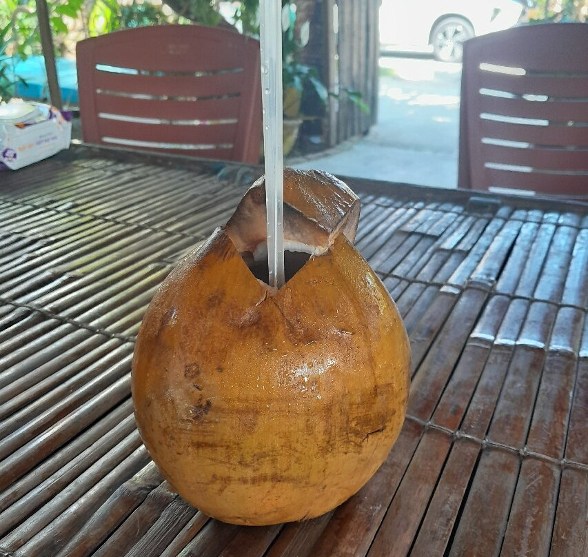 Cocochill Hoi An - Coconut Village & Basket Boat-会安必去景点