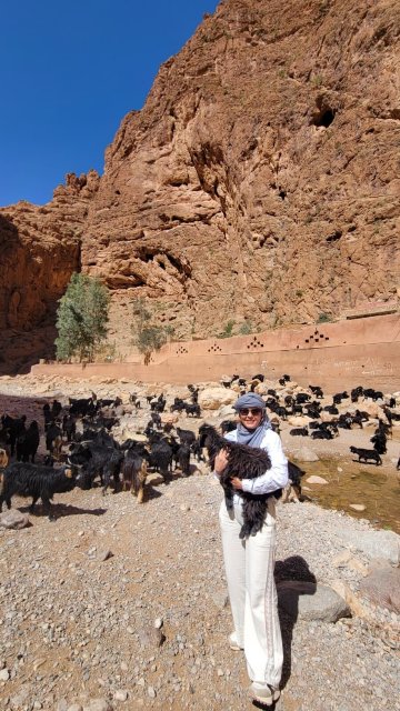 巴比伦达德斯旅舍-官方