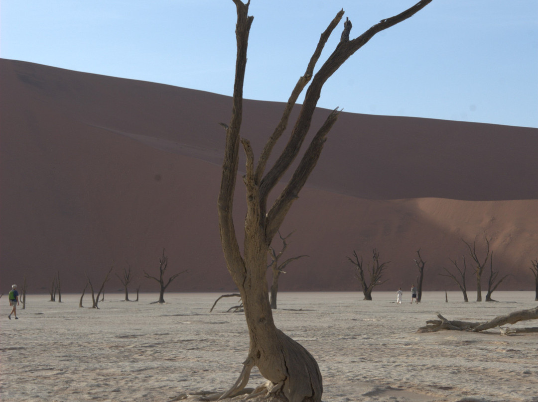 Deadvlei-苏丝斯黎必去景点