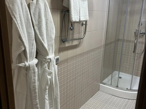 沃尔霍夫酒店主图