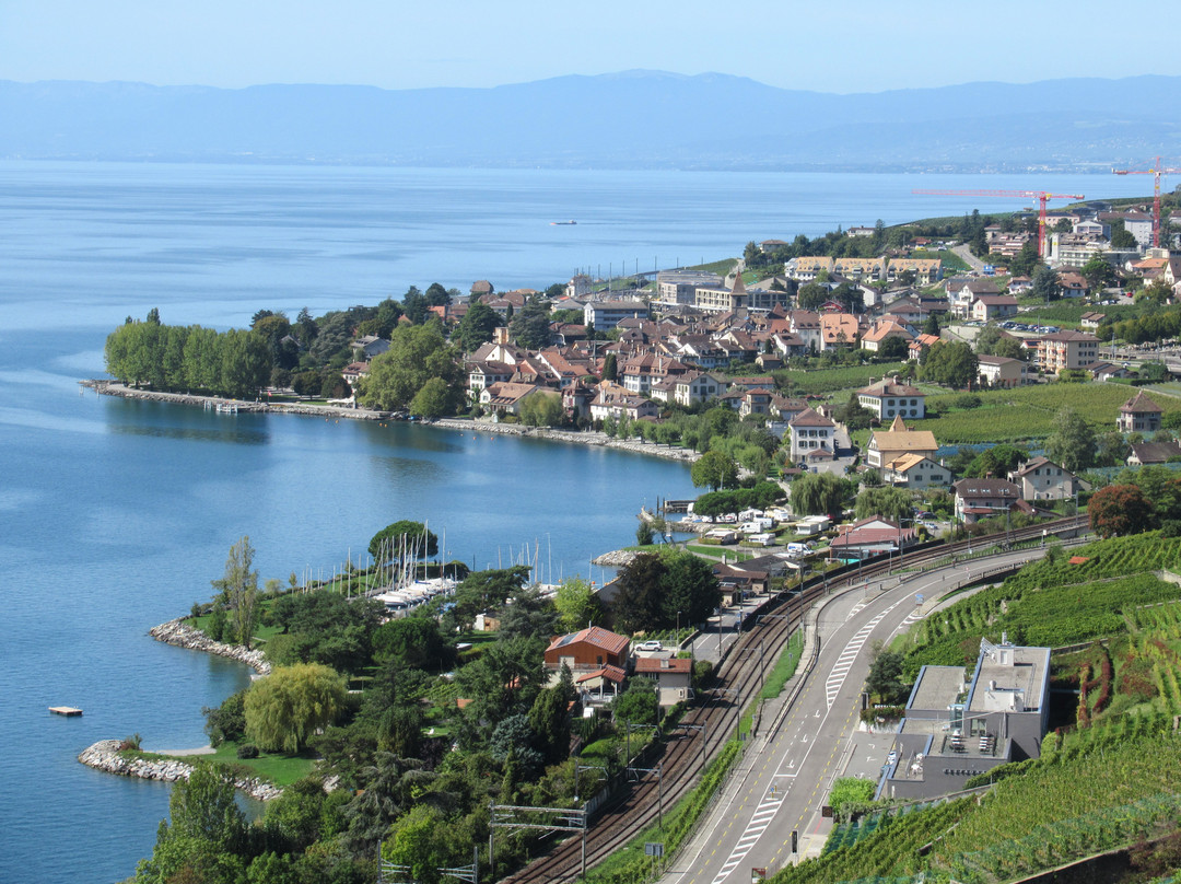 拉沃葡萄园梯田-蒙特勒必去景点