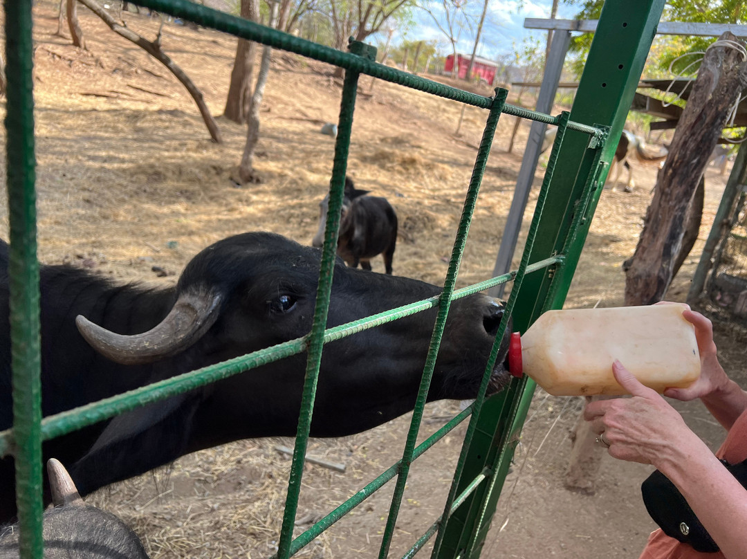 The Monkey Farm-Playa Ocotal必去景点