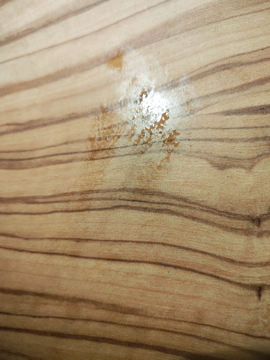 阿姆斯特丹北站美居酒店-客卧