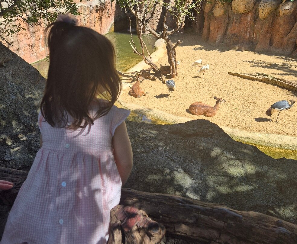 Bioparc Fuengirola-福恩吉罗拉必去景点