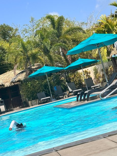 竹子酒店与温泉-官方