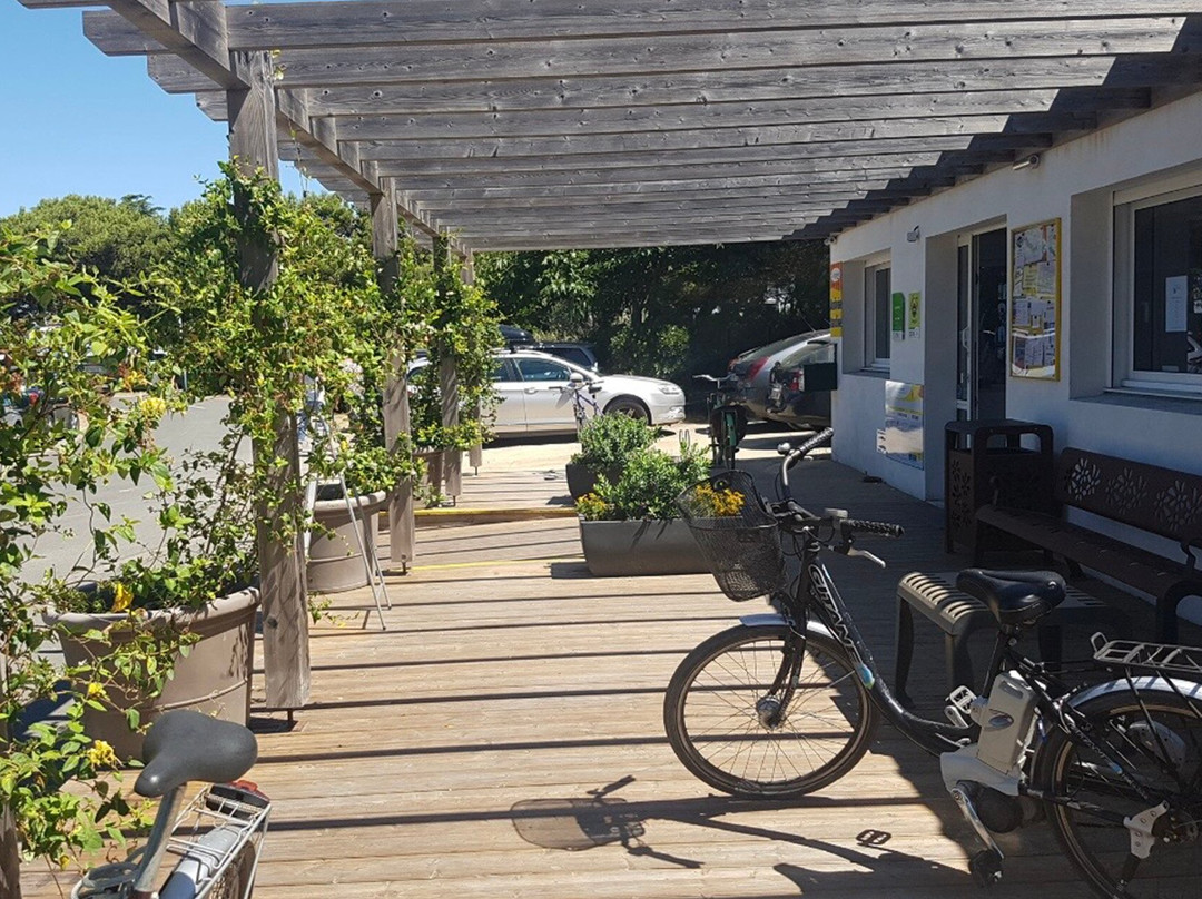 Flower Camping Le Platin - La Redoute