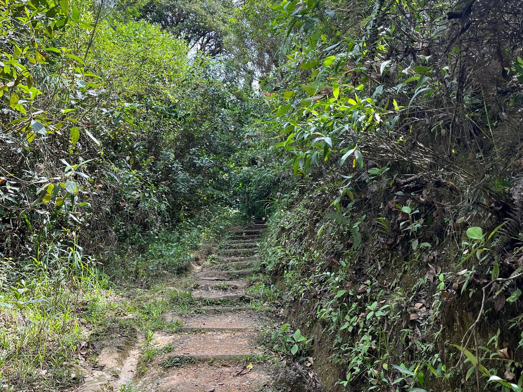 Las Montañas En Mindo-明多必去景点