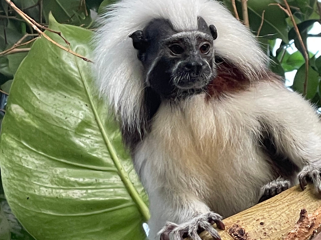 Krokodille Zoo-Eskilstrup必去景点