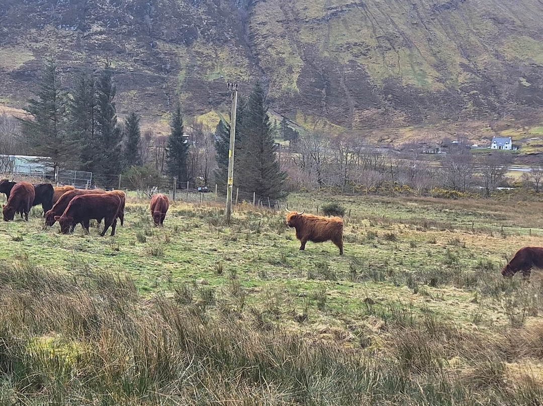 The Dornie Hotel主图