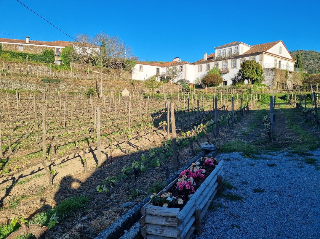 圣托-葡萄酒和旅游之家