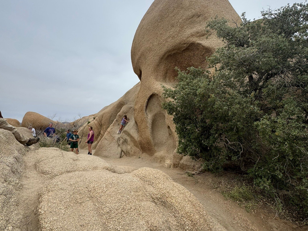 Joshua Tree National Park-约书亚树必去景点