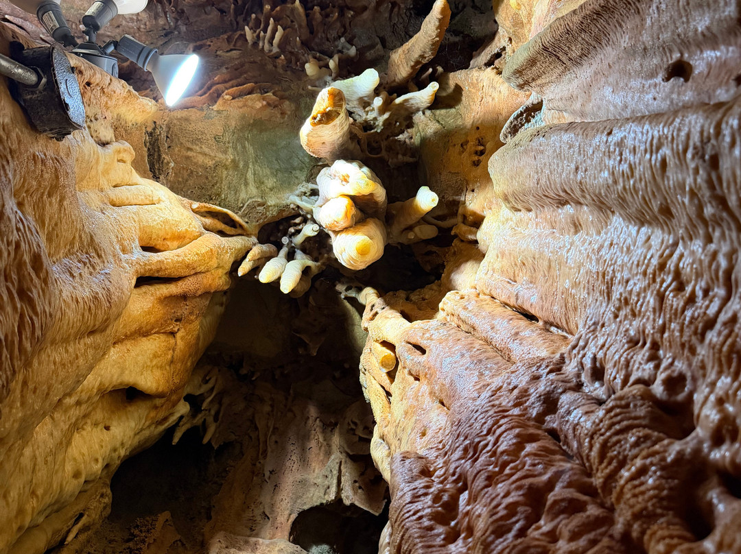 Onyx Cave-Cave City必去景点