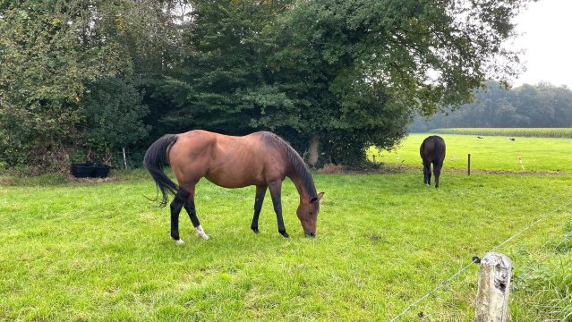 兰德古德维尔莫斯伯格酒店-官方