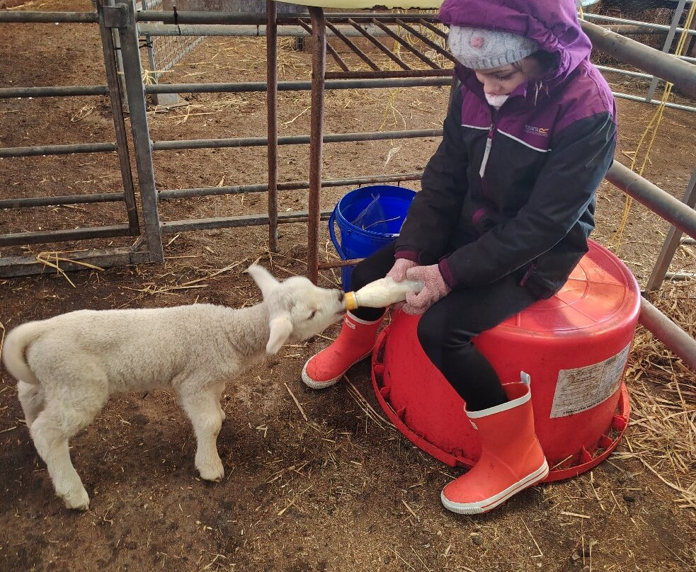 Kilmacolm Farm Tours-Cairncurran必去景点