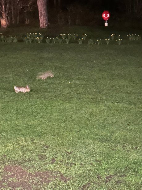 Warner Hotels Gunton Hall-官方