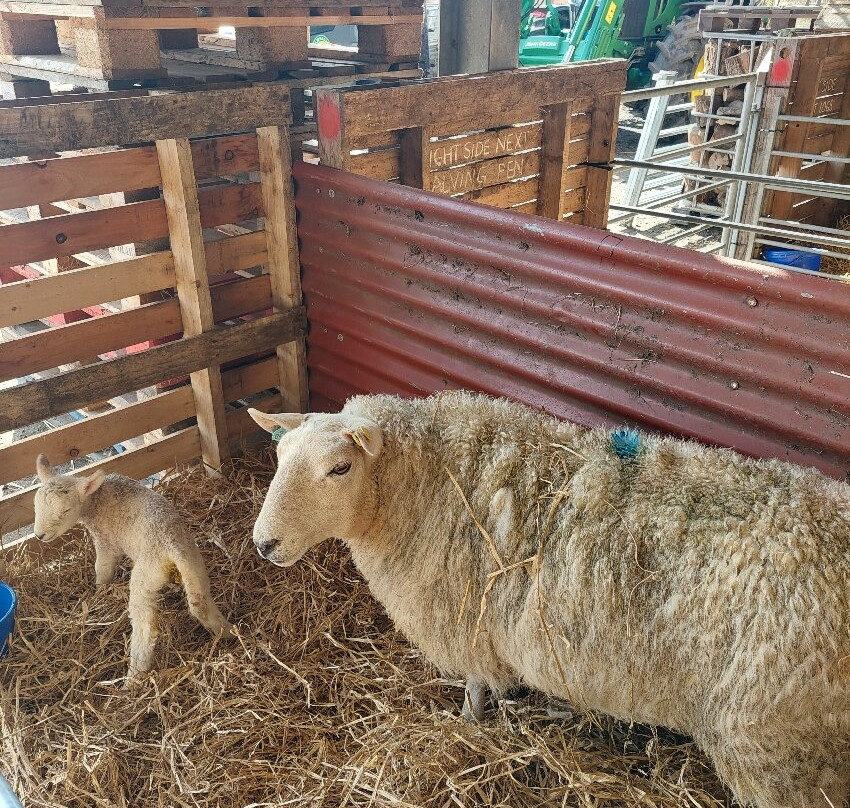 Kilmacolm Farm Tours-Cairncurran必去景点