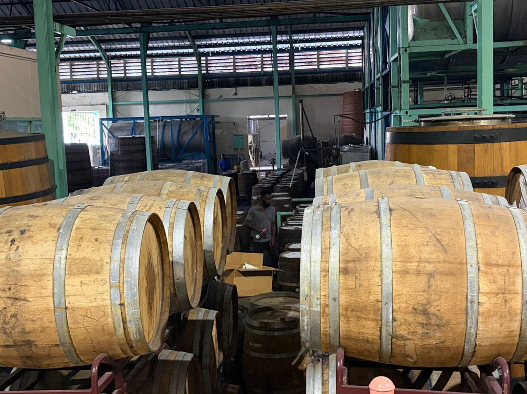 Foursquare Rum Distillery-Saint Philip Parish必去景点
