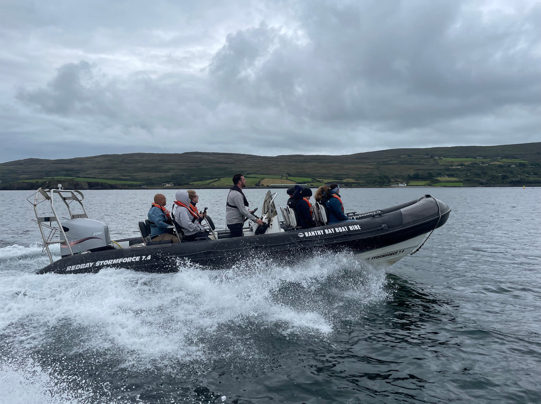 Bantry Sea Safari & Rentals-Bantry必去景点